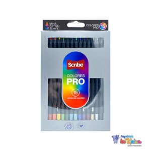 Group 716 COLOR PRO SCRIBE UNIPUNTA X 15